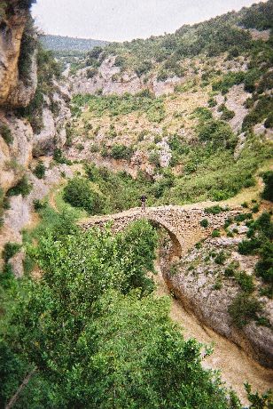 Le pont des chèvres du Mascun